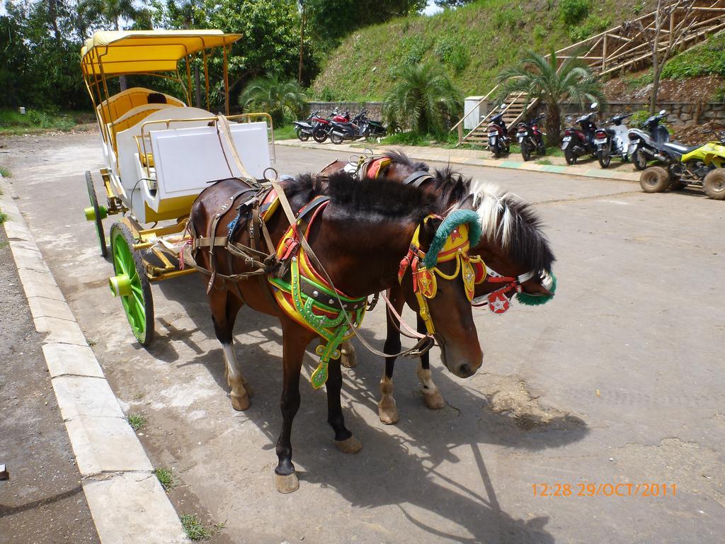 Homestay Triniti Lembang Exteriér fotografie